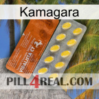 Kamagara 42